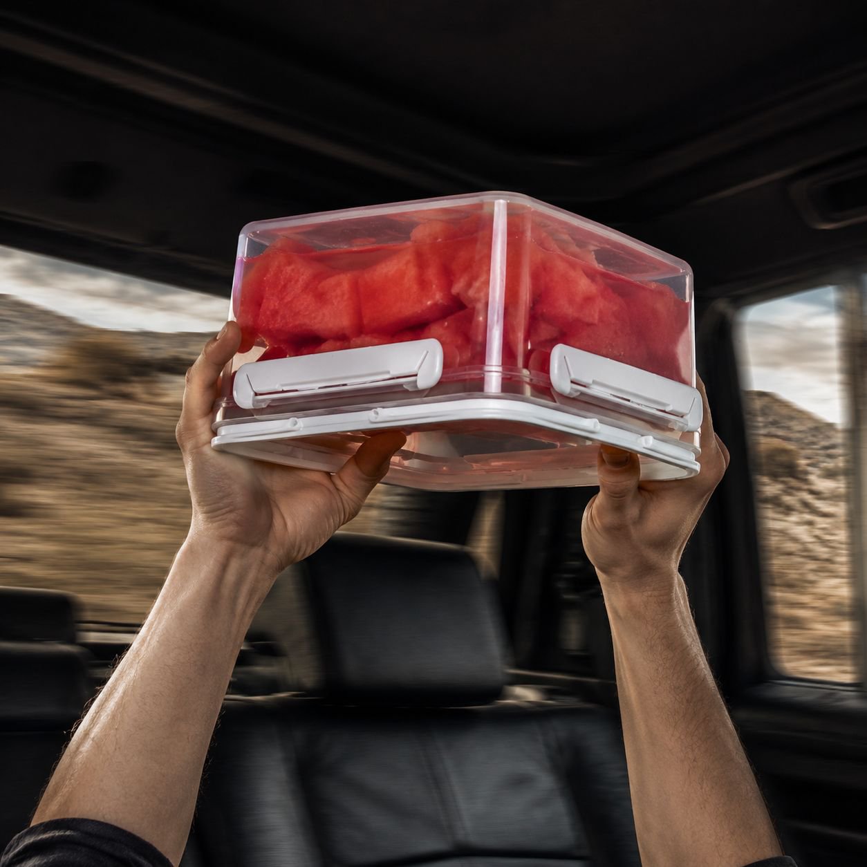 Tragbare Outdoor-Kühlbox, ein Muss für Frühlingsausflüge