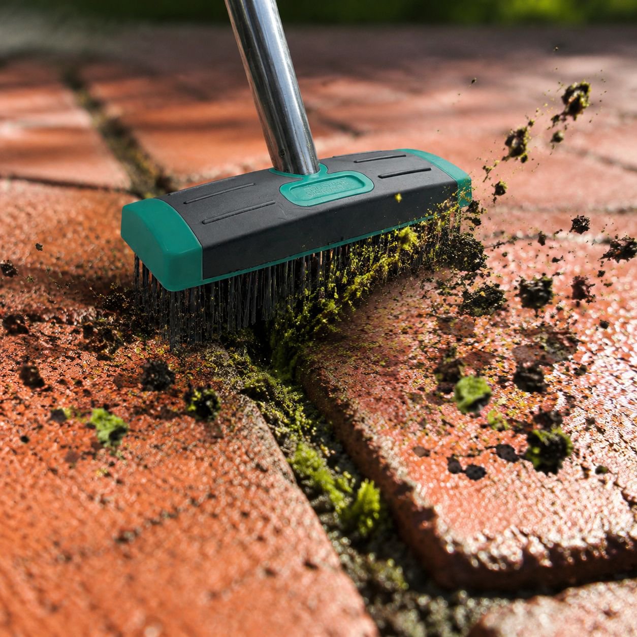 Stainless steel moss removal brush cleaning patio