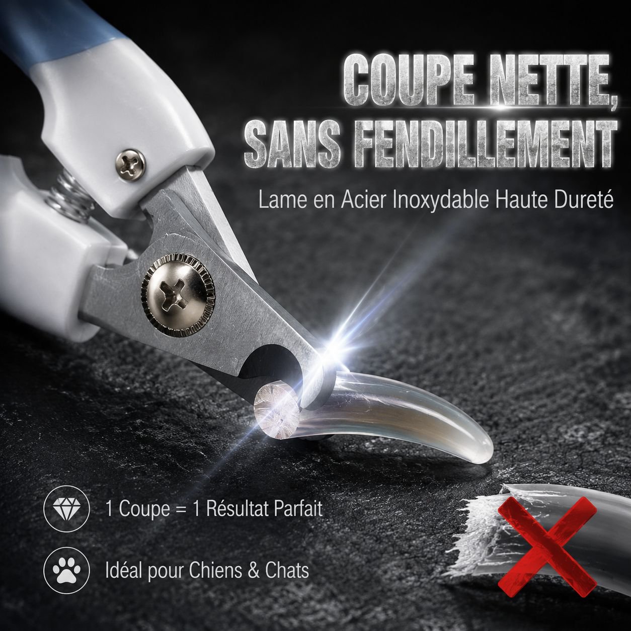 Kit coupe-ongles pour chats et chiens, avec lime en acier inoxydable