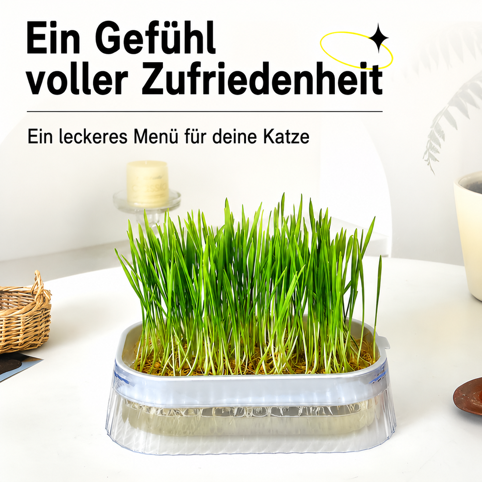Hydroponische Anzuchtschale für Sprossen