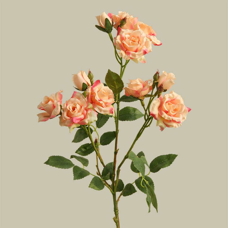 버블로즈 목욕볼