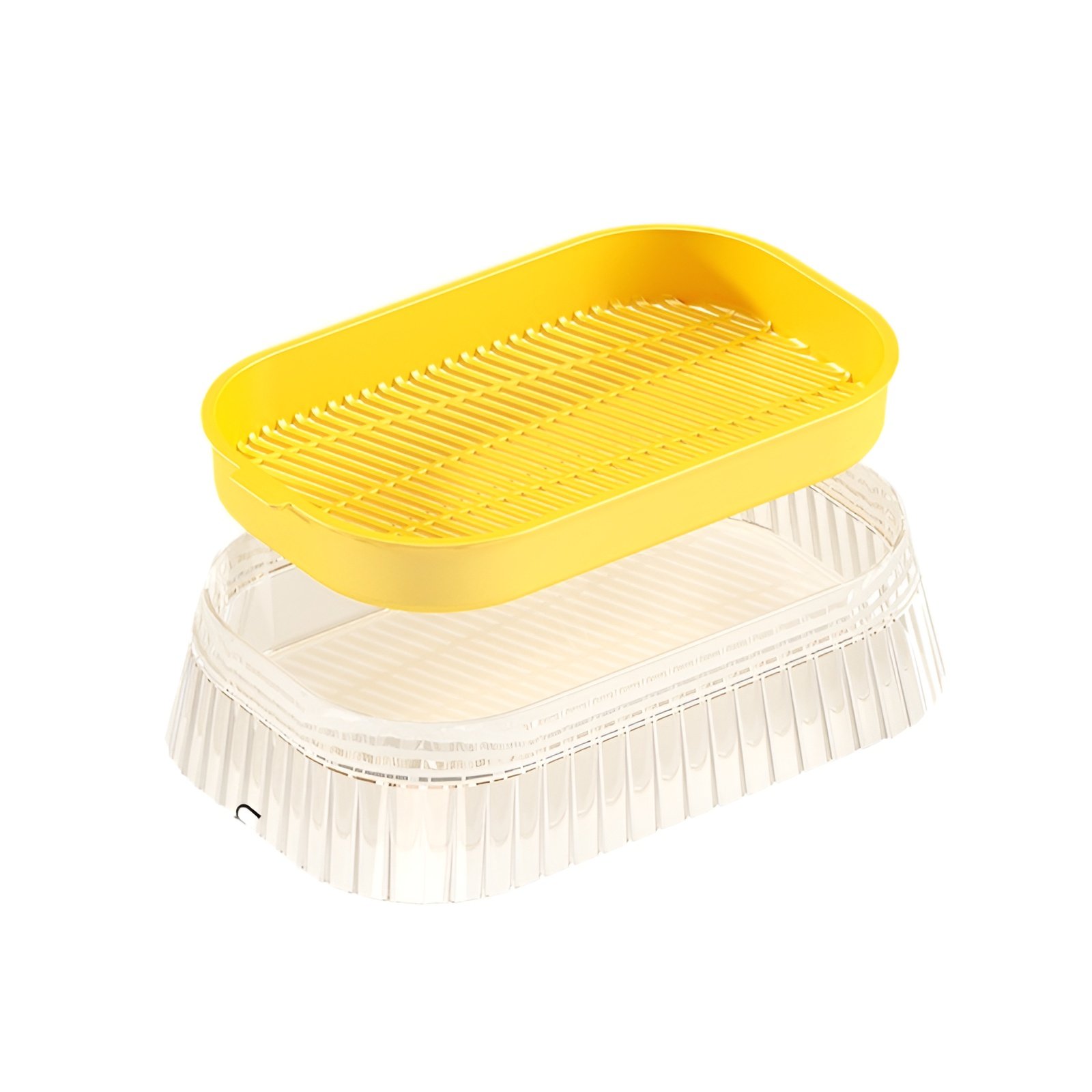 Bean Sprout Hydroponic Planter