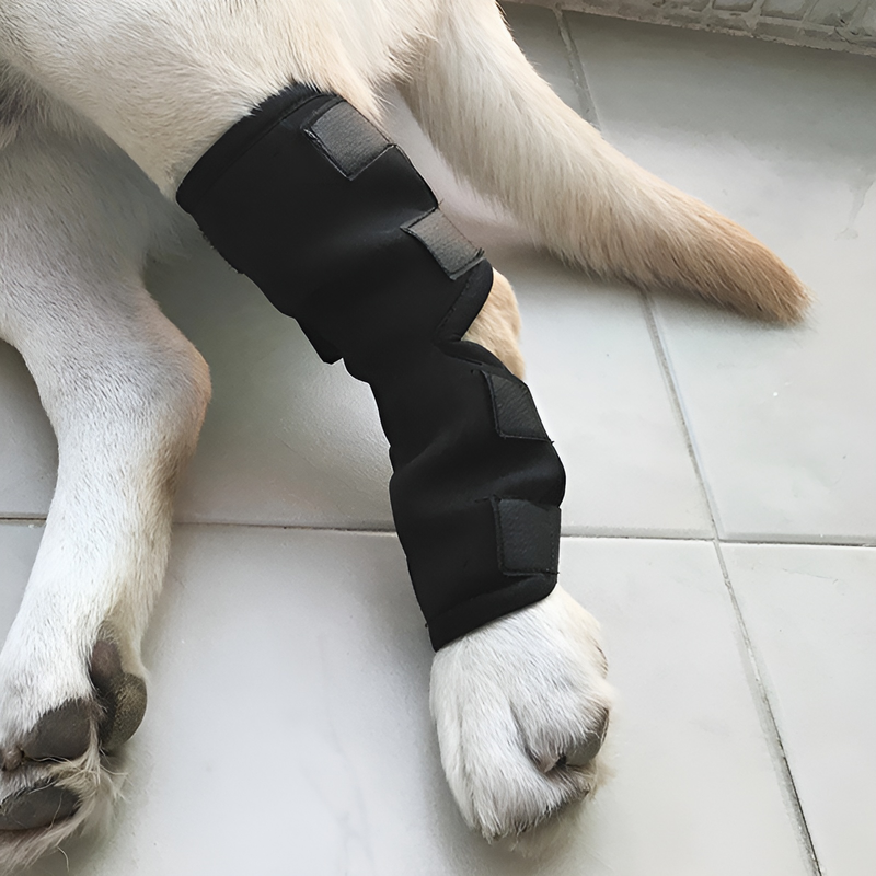 犬の脚プロテクター