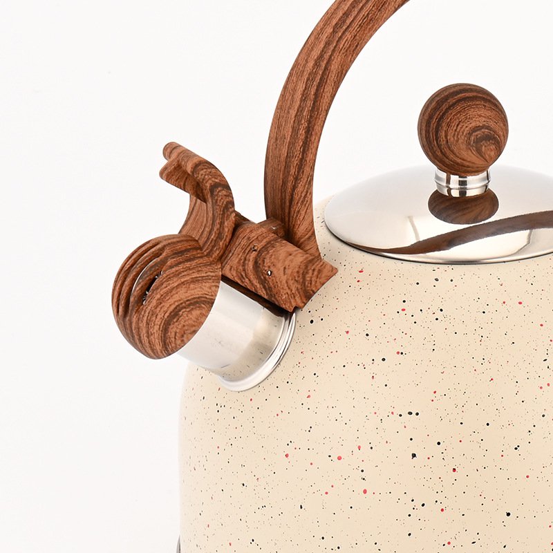 ステンレス製家庭用ケトル