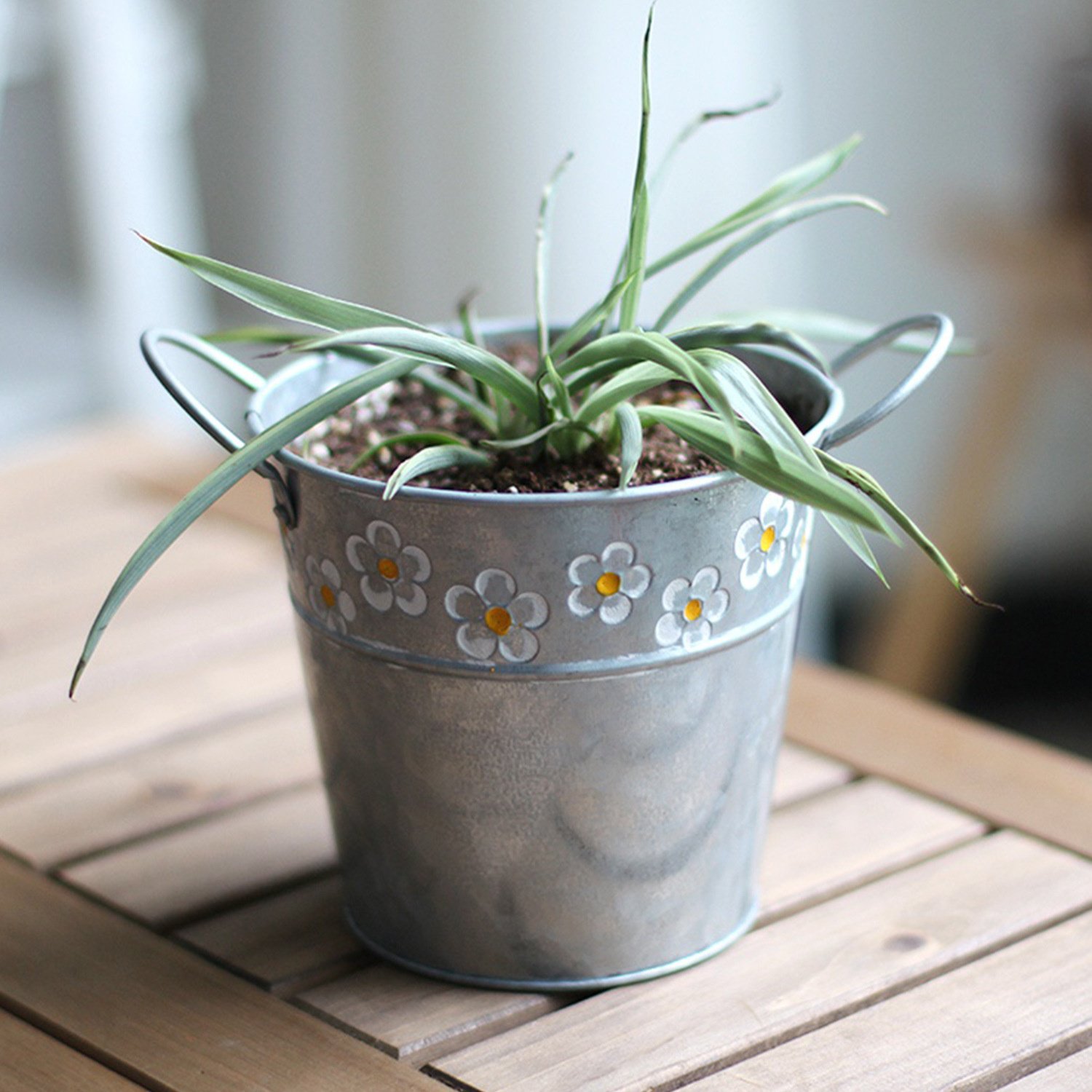 Vase design minimaliste pour fleurs séchées