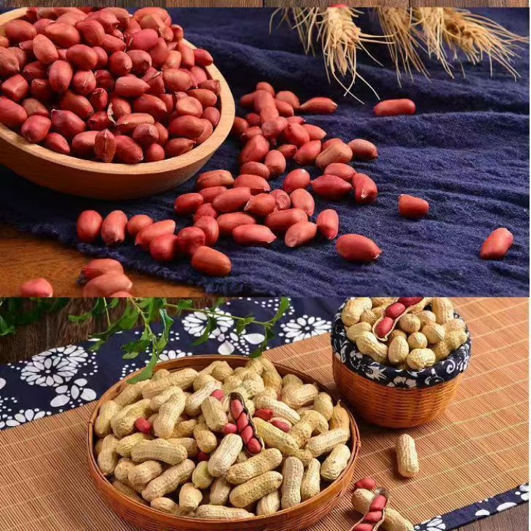 新貨紅皮帶殼花生米 四粒曬乾新鮮花生