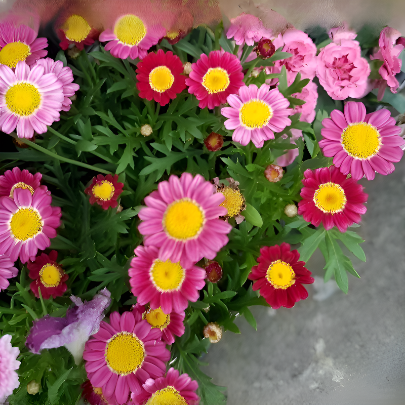 혼합 컬러 사계절 모기 차단 화분