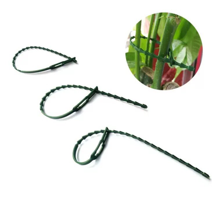 Detachable garden fishbone binding wire