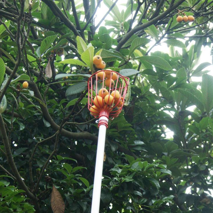 摘果器