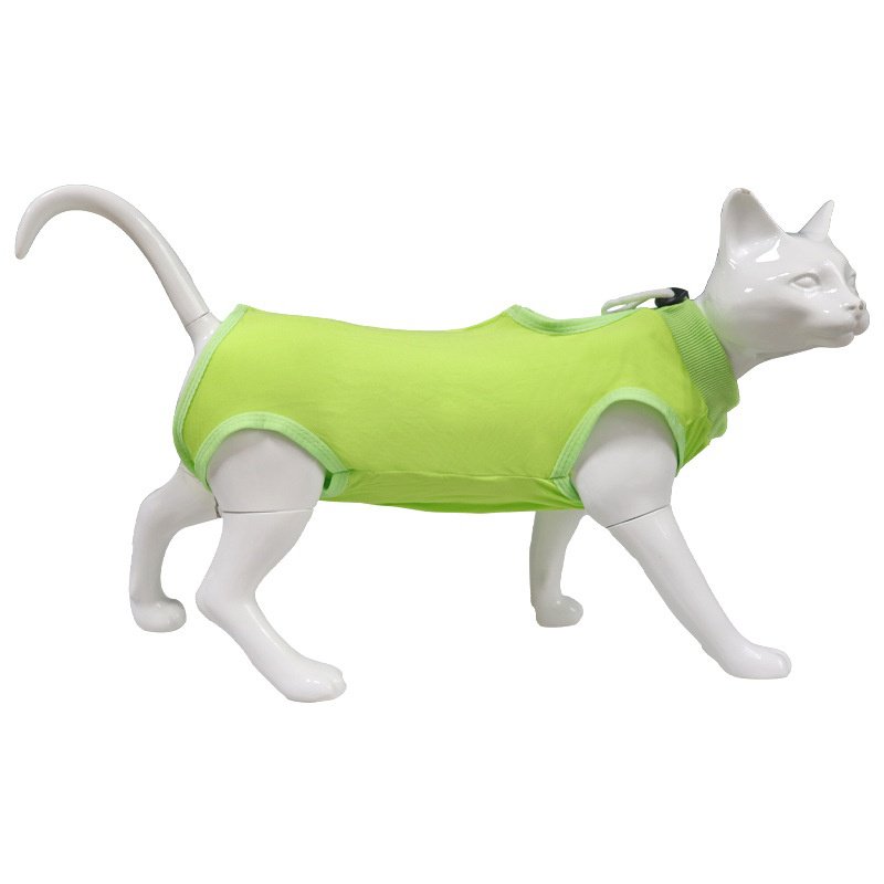 貓狗術後護理服