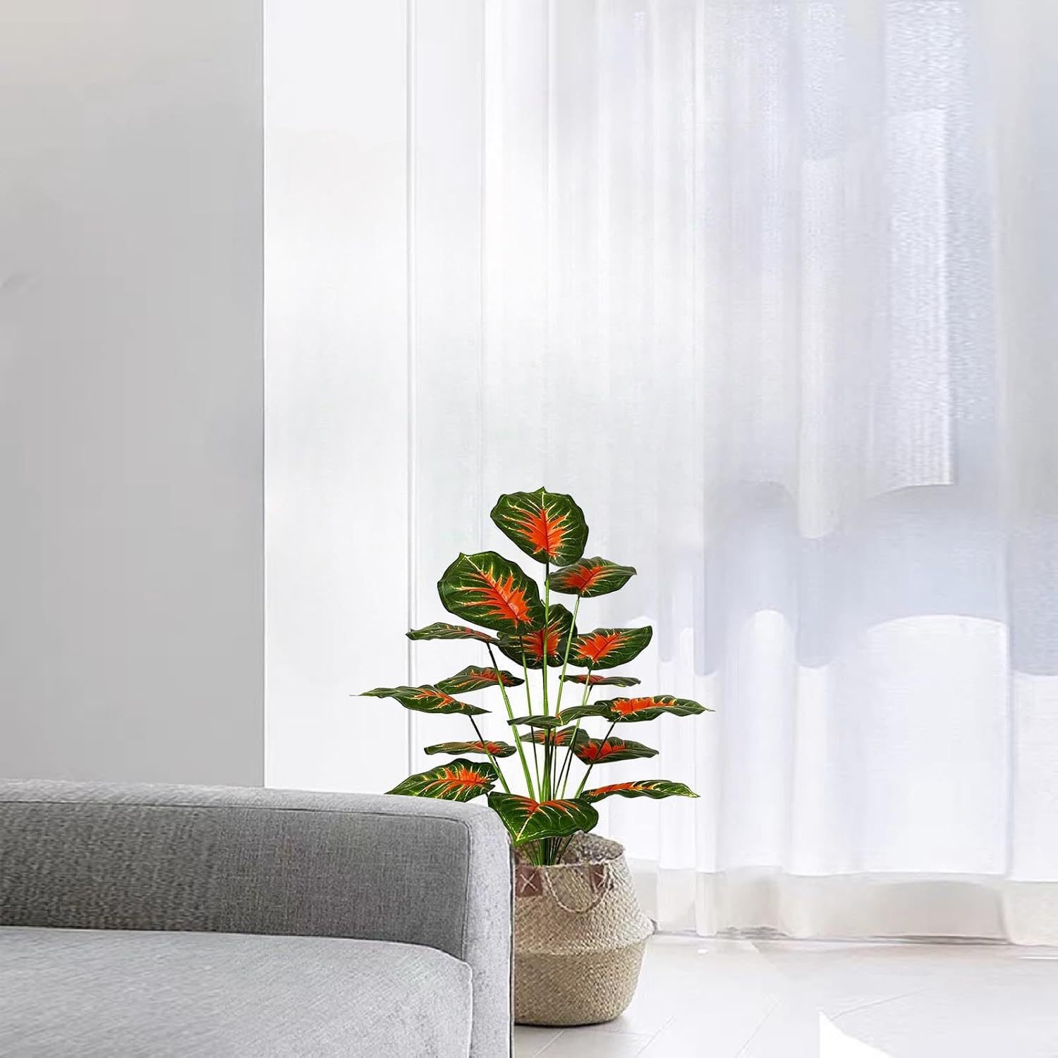 Green plants, potted plants, palm trees, flooring plants