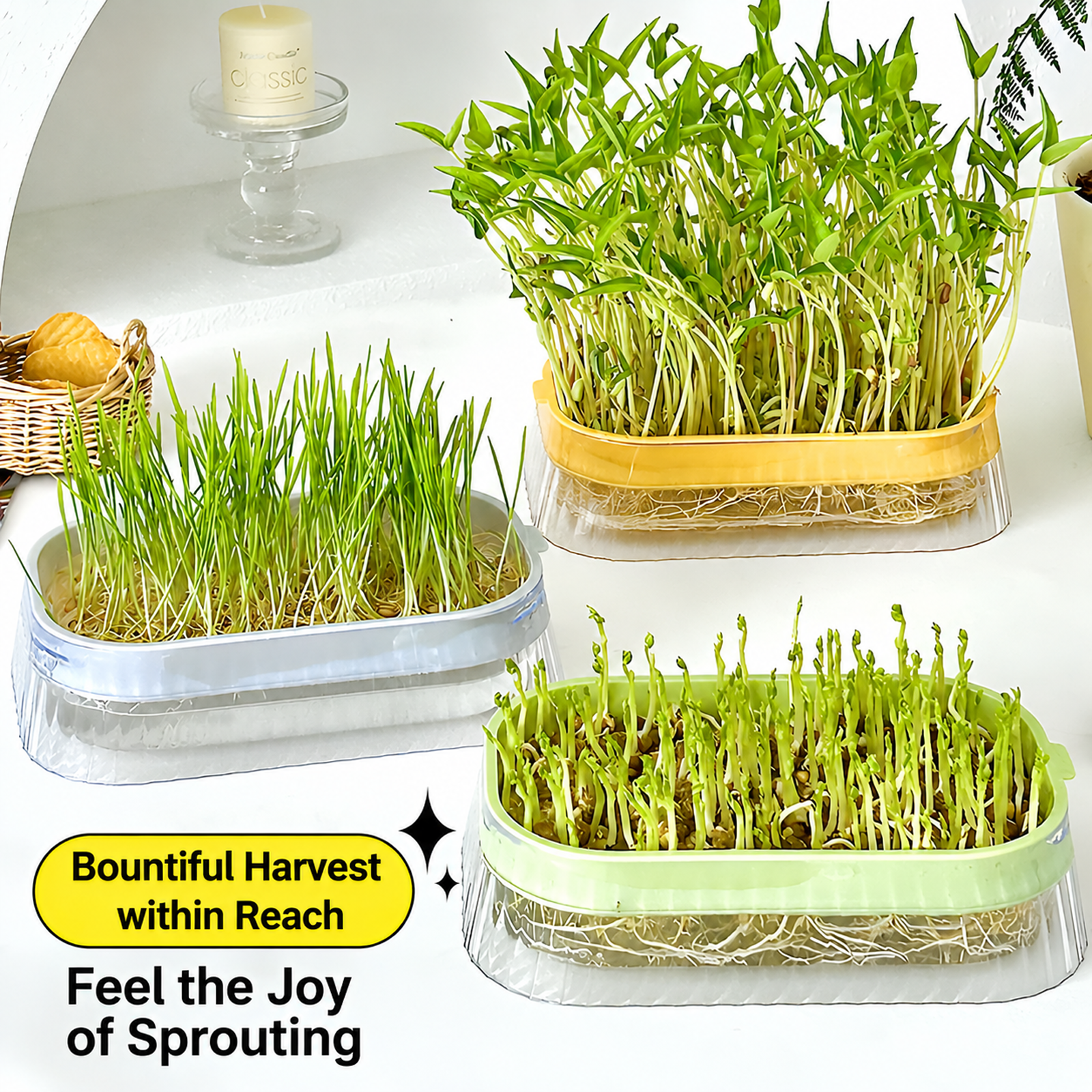 Hydroponic boxes for bean sprouts, hydroponic trays for soilless cultivation, seedling trays for veg