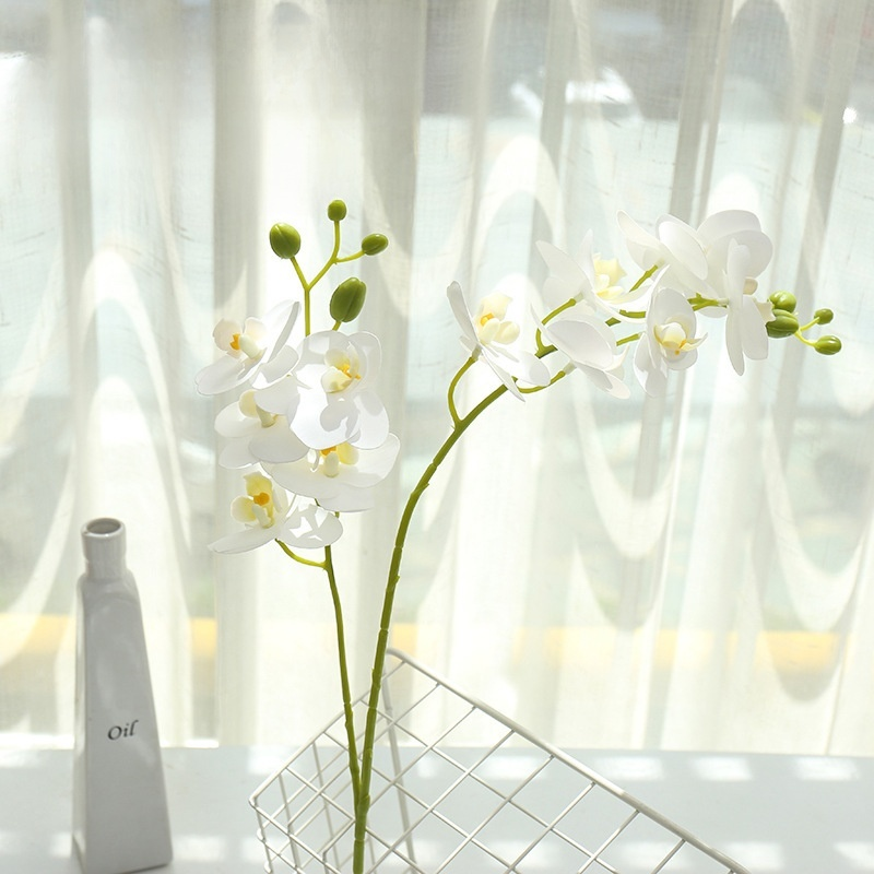 鉢植え植物の装飾品