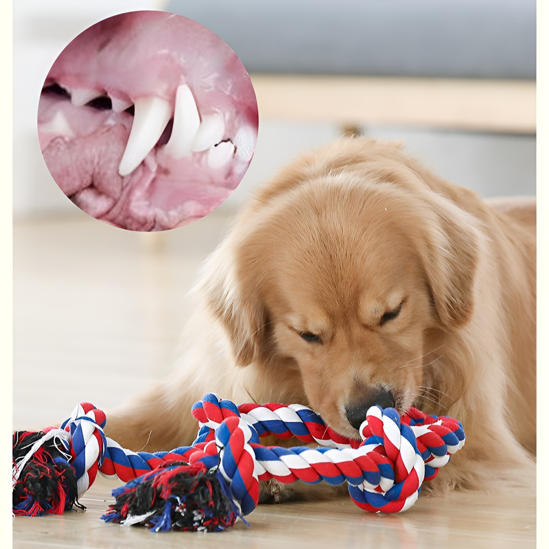 Hemp Rope Chew Toy for Large Dogs – Teeth Cleaning & Durable