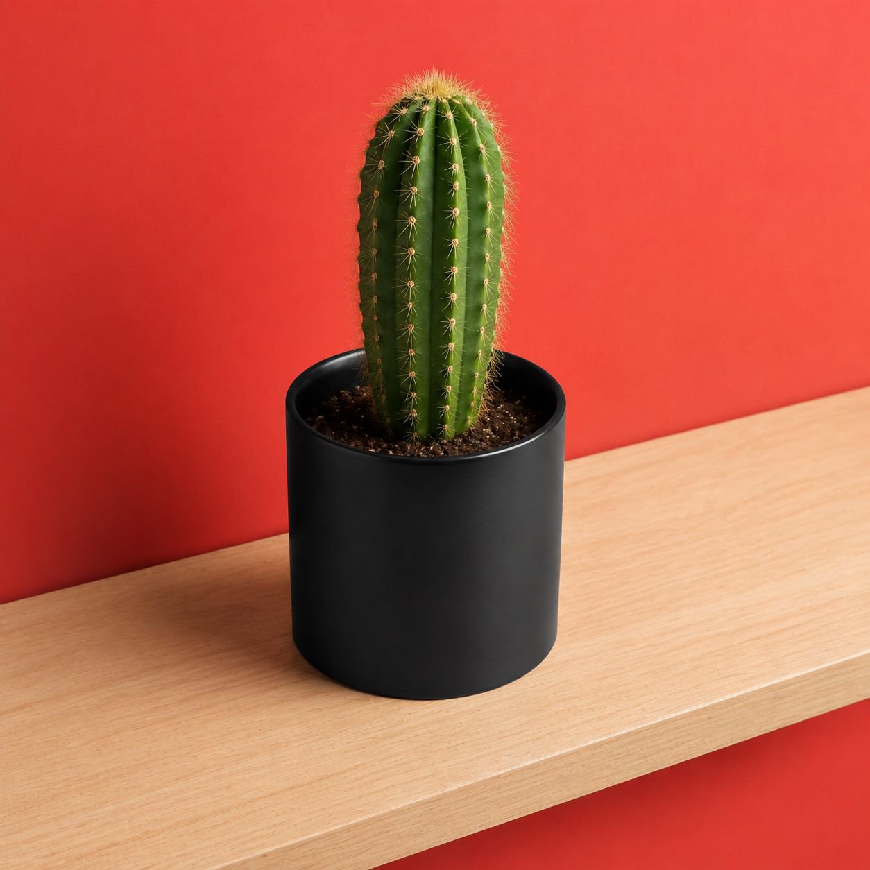 Home decor ceramic high pot for flowers