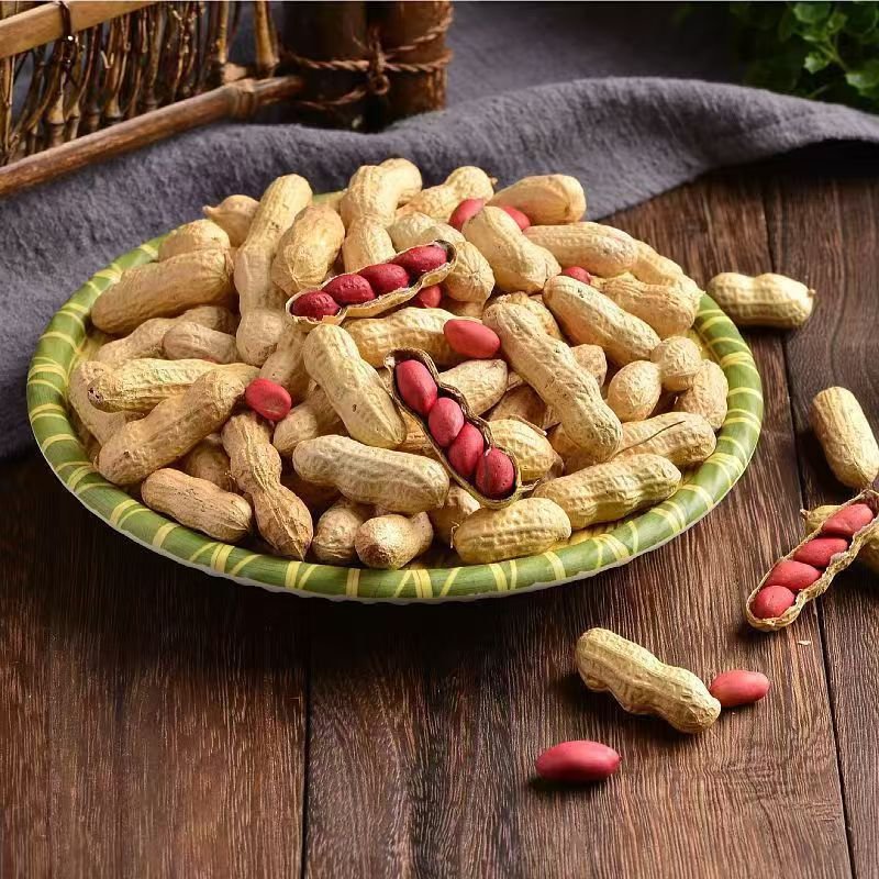 新貨紅皮帶殼花生米 四粒曬乾新鮮花生