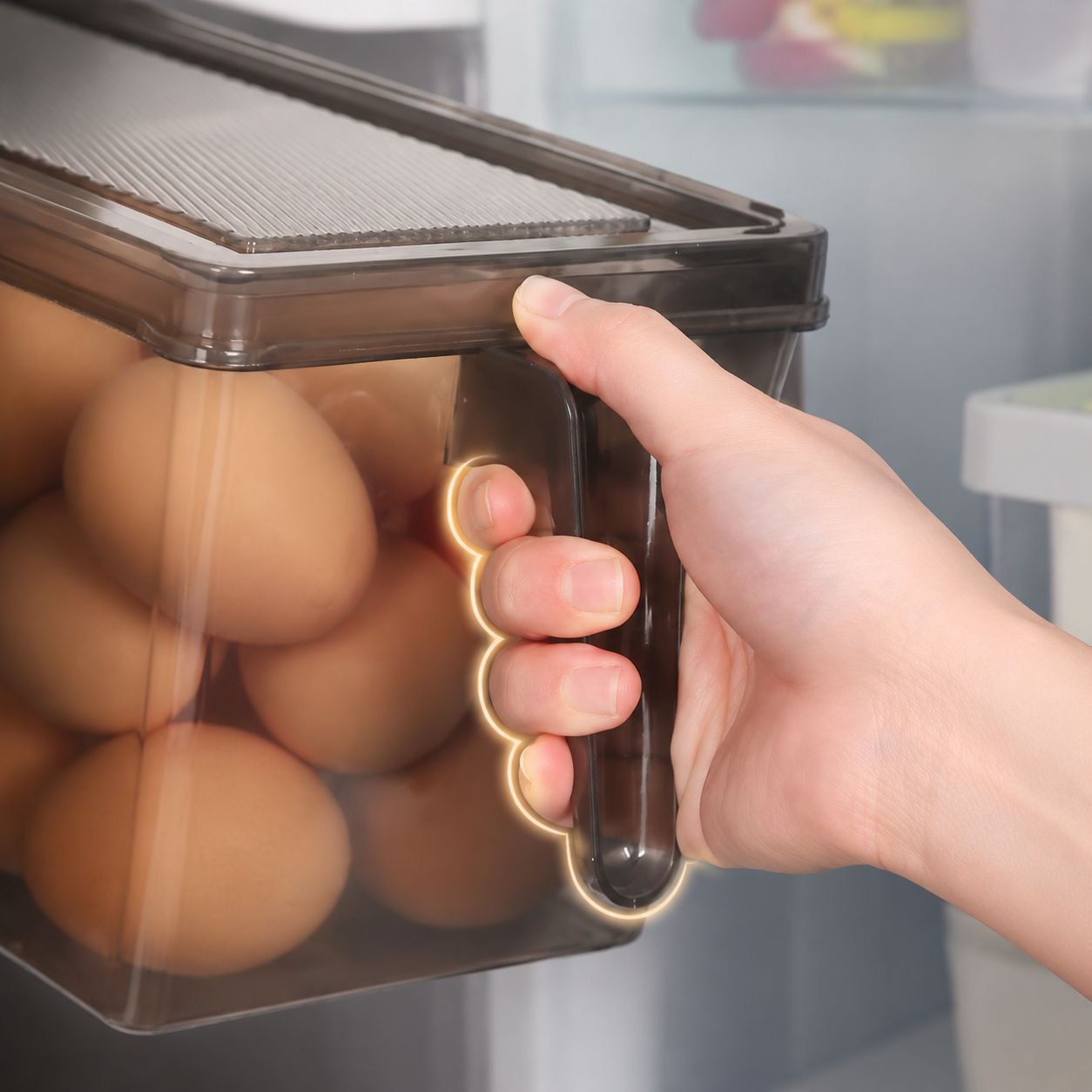 Praktische Handhabung der tragbaren Kühlschrank-Organizerbox