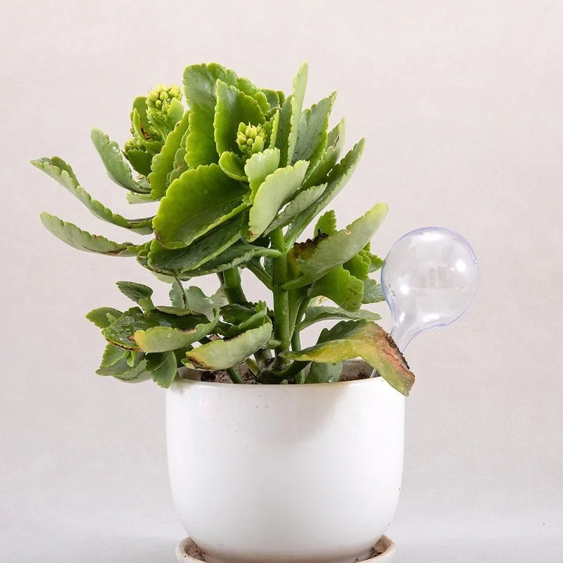 Regador automático de flores para macetas de plantas verdes hortícolas