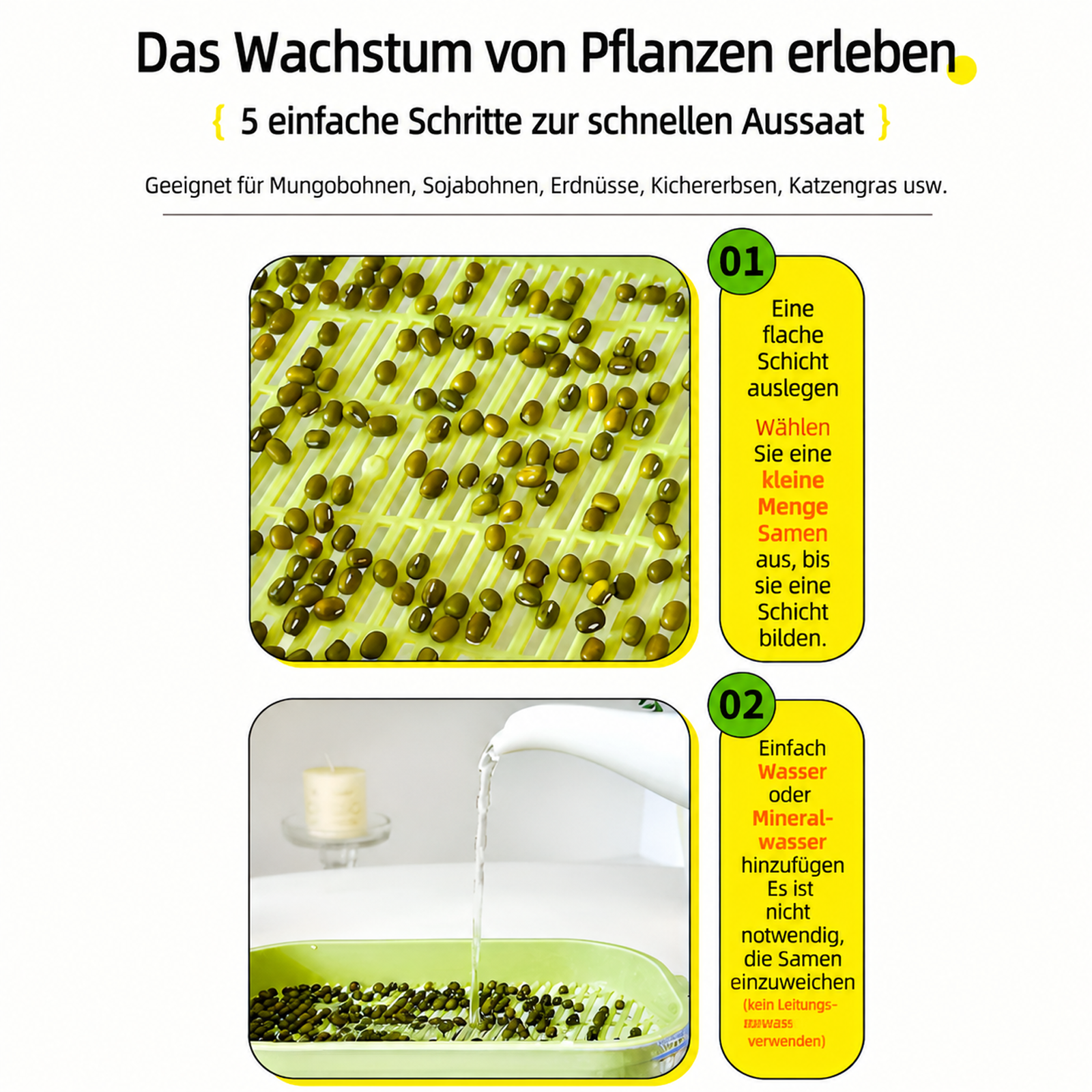 Hydroponische Anzuchtschale für Sprossen