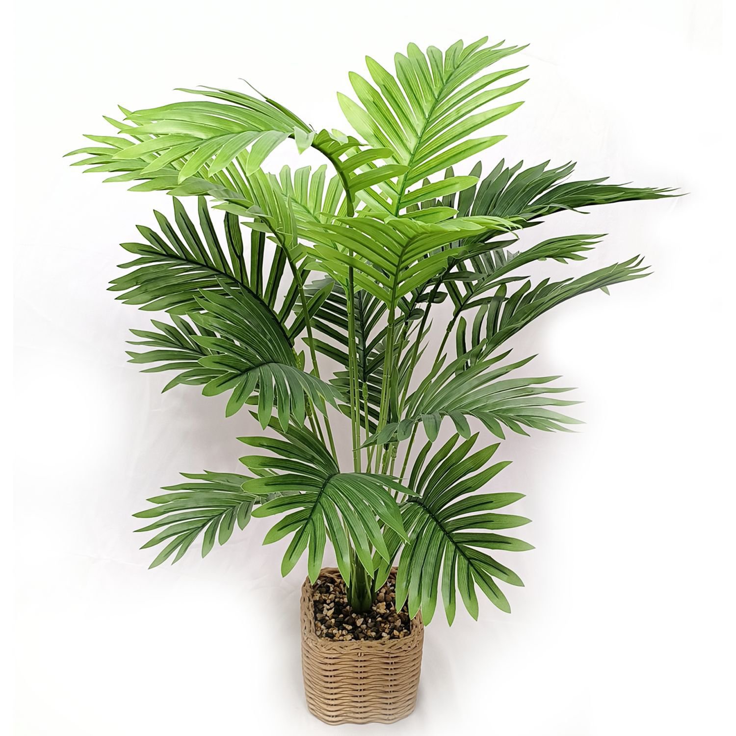 아레카 야자 화분 식물