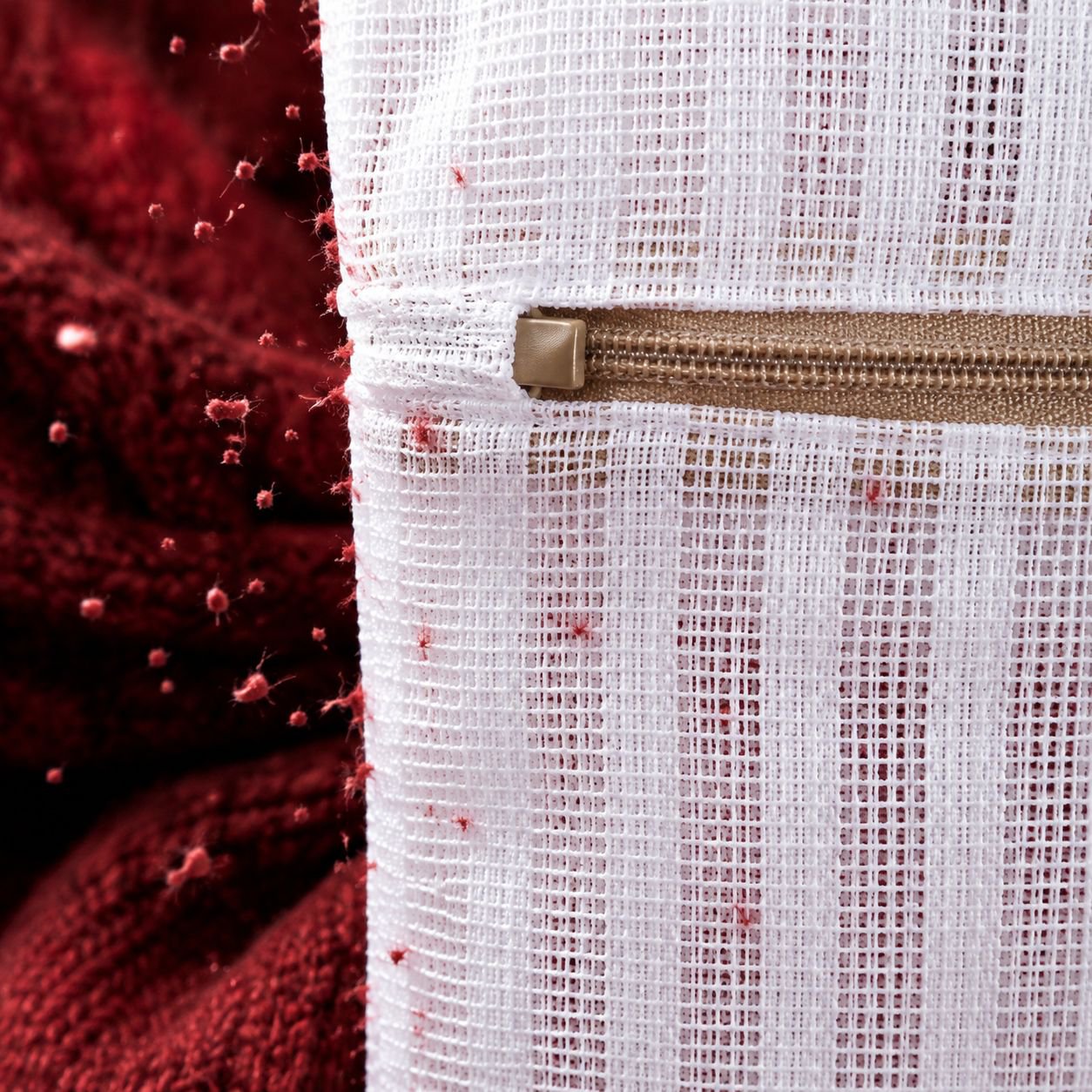 Laundry mesh bag protecting delicate clothes
