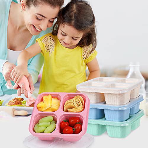 Four-Compartment Lidded Snack Storage Tray