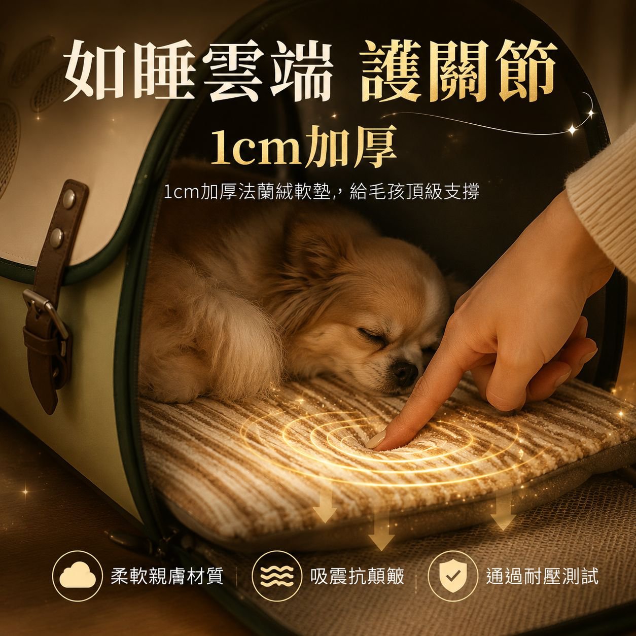 多用途戶外寵物包 單肩雙肩可切換大容量