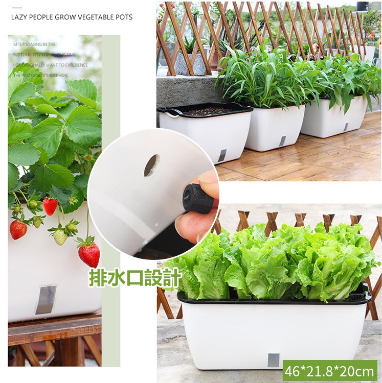 自己給水プランター