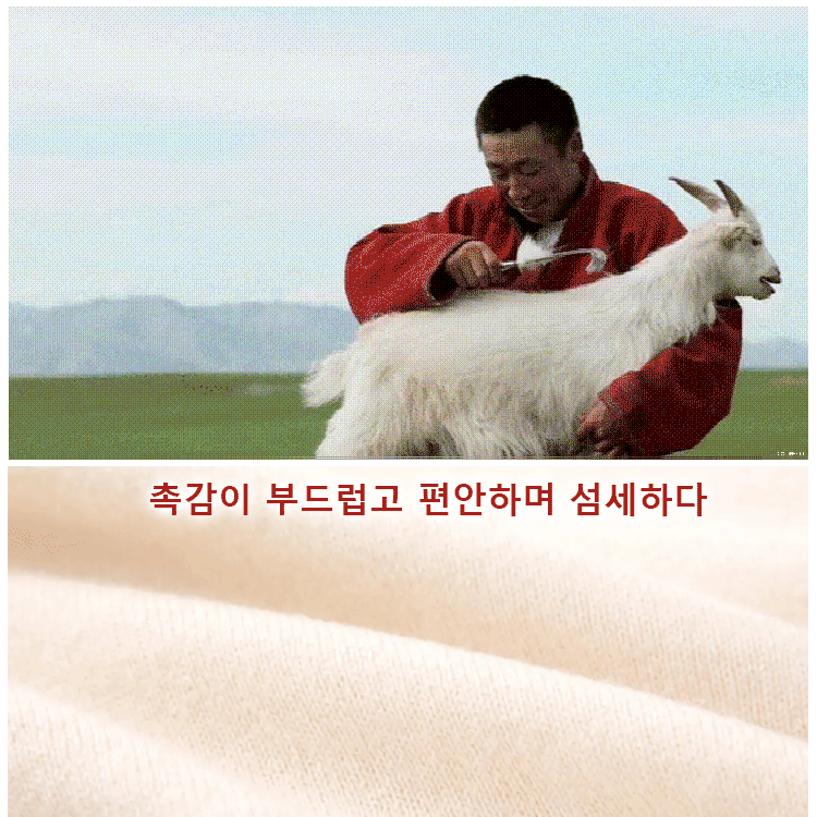 단색 캐시미어 니트