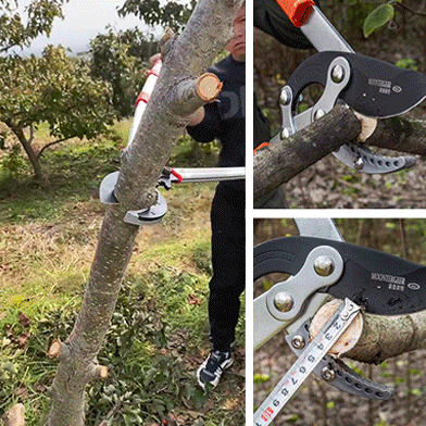 SK5 Fruit Tree Thick Branch Heavy Duty Pruner