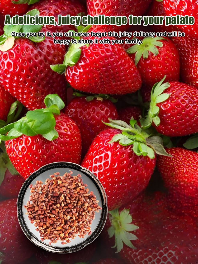 Sweet juicy creamy strawberry seeds