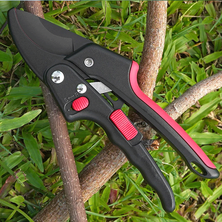 수입 전문 정지 가위