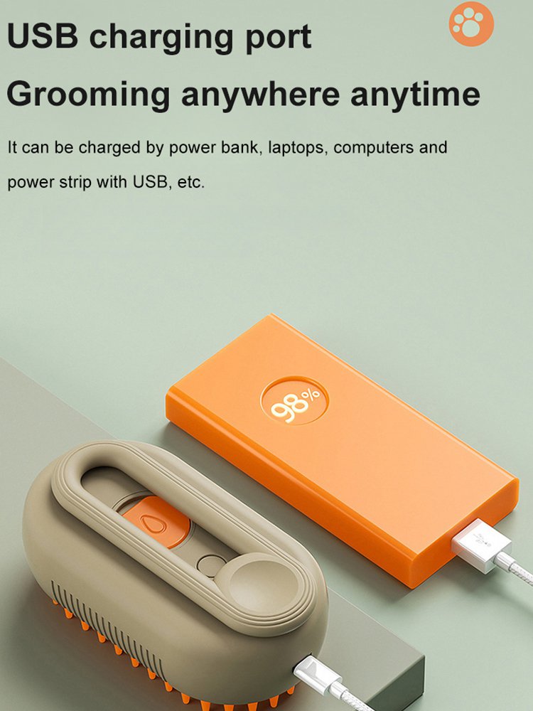 Pet Steam Grooming Brush