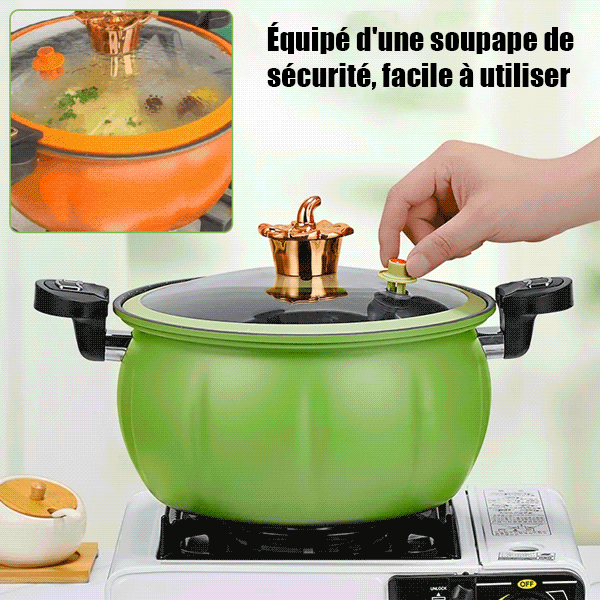 Autocuiseur à pression multifonctionnelle