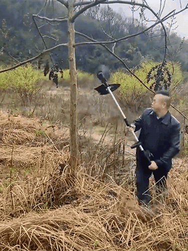 【Garantía de 10 años】Cortacésped de jardín ligero con batería de litio