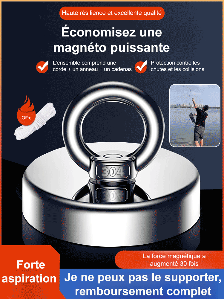 Aimant de récupération puissant
