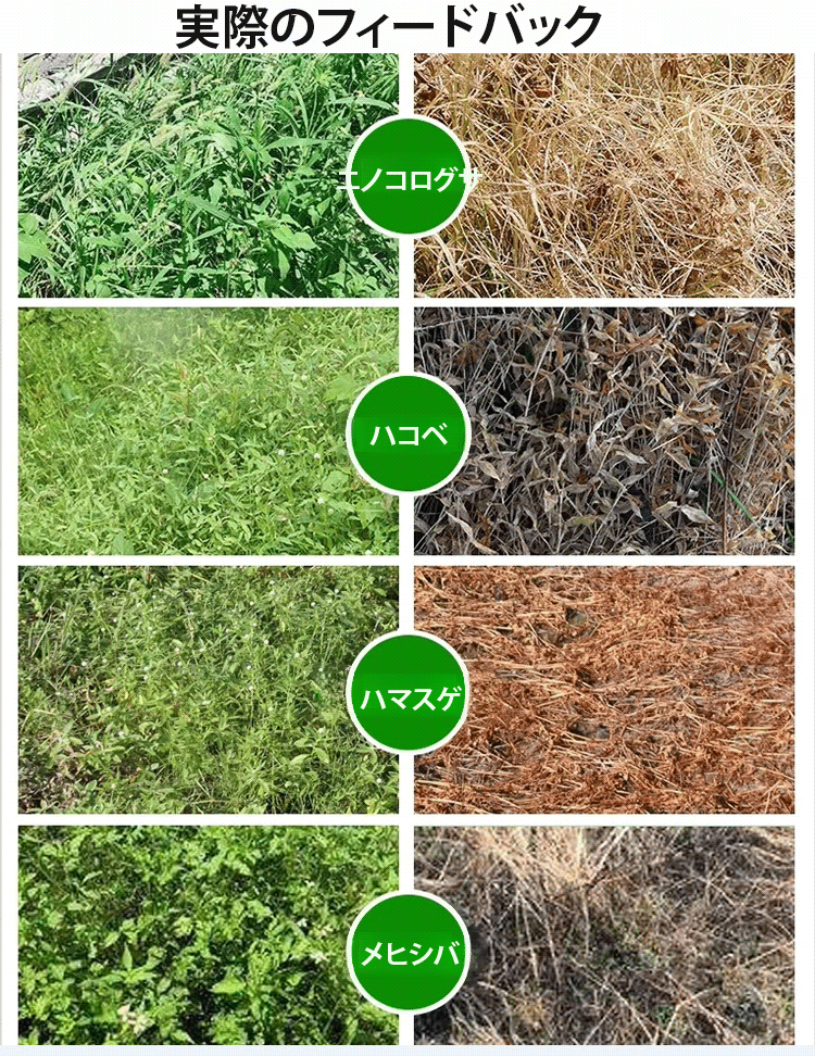 【10分で1,000種類以上の耐性雑草を根絶】東京農業大学が推奨する2025年超強力除草剤❤️土壌に無害