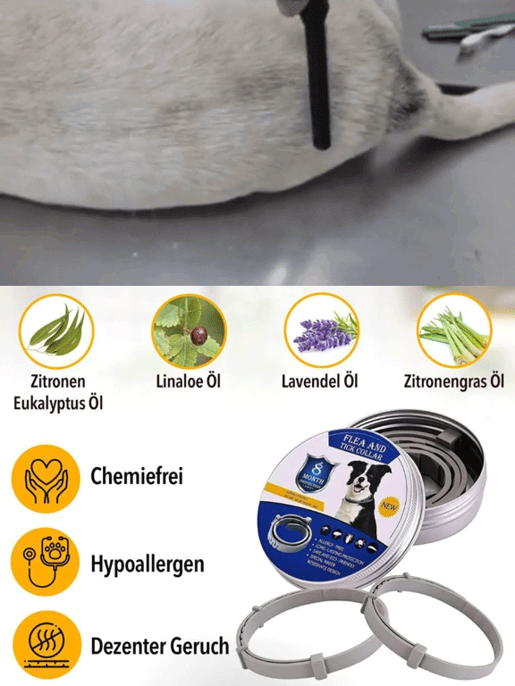 Haustier Entwurmungshalsband