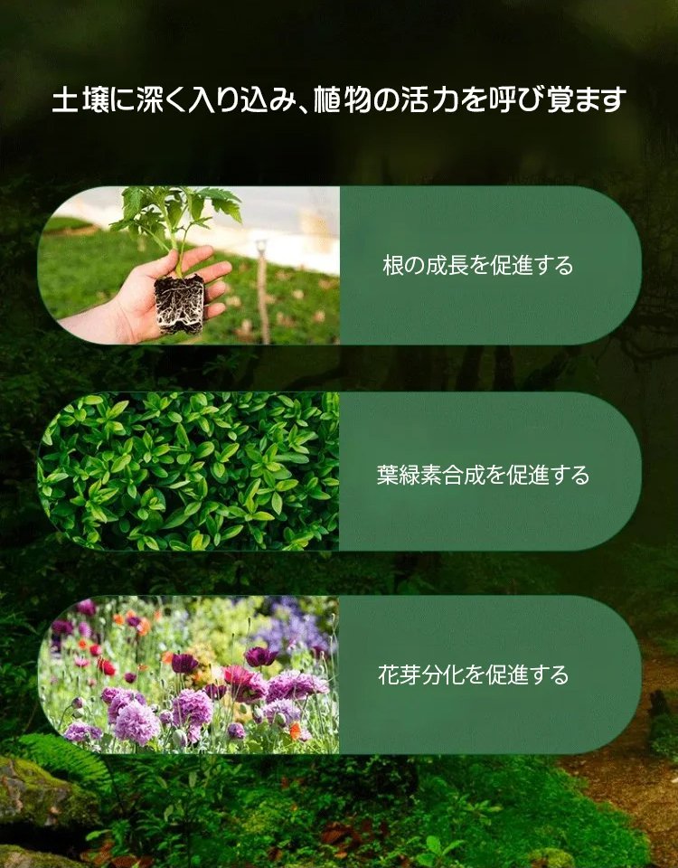 家庭園芸用液体植物栄養剤