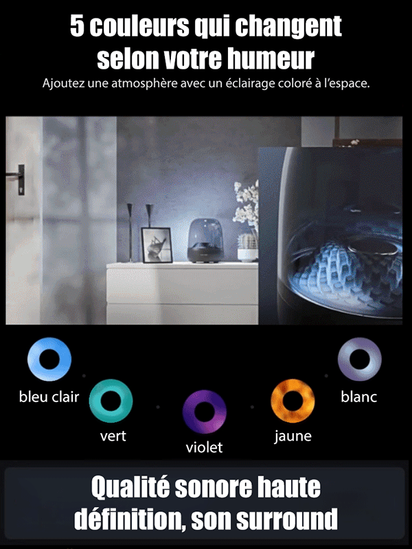 Enceinte Cristal Noir et Or