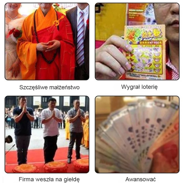 [Przeprowadzanie bogactwa]  Nasiona ozdobnego lotosu wodnego