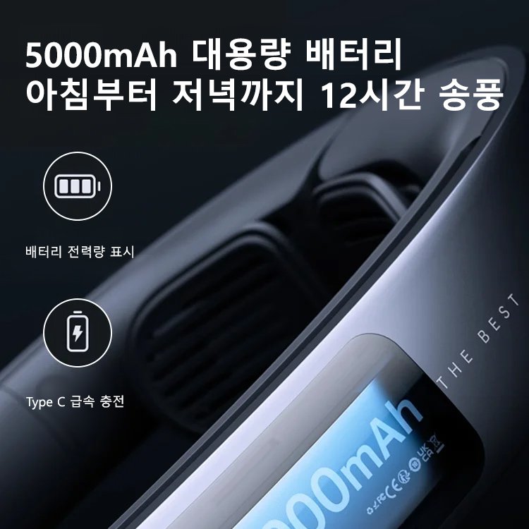 전문가급 파시아 건