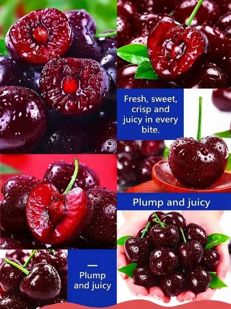 Short-stemmed cherry seedlings
