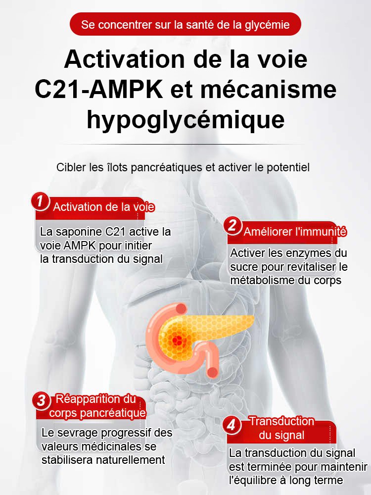 Comprimés antidiabétiques