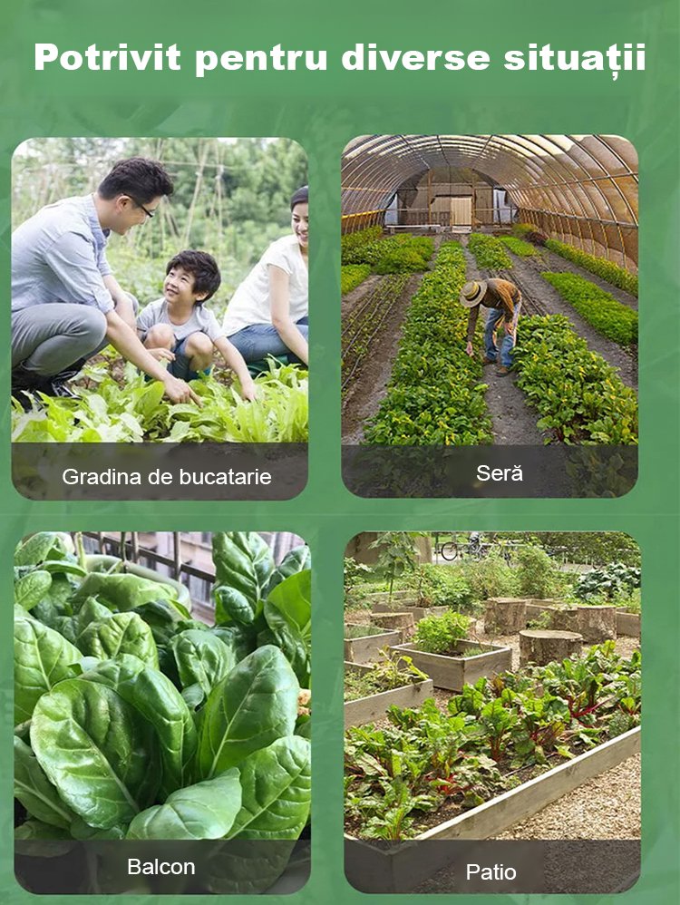 HFH-【Ușor de cultivat】 Pepene verde degetul mare