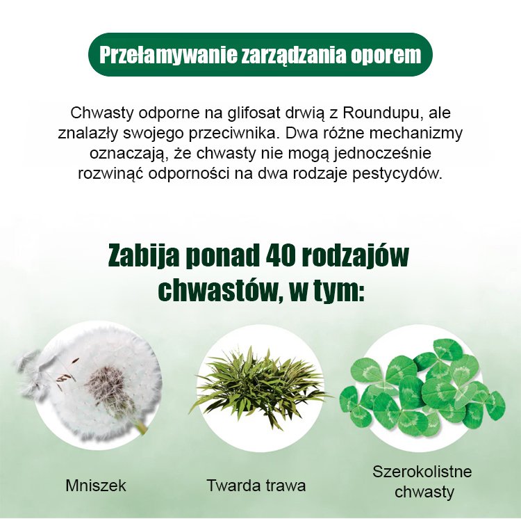 Profesjonalny preparat na chwasty do terenów zielonych