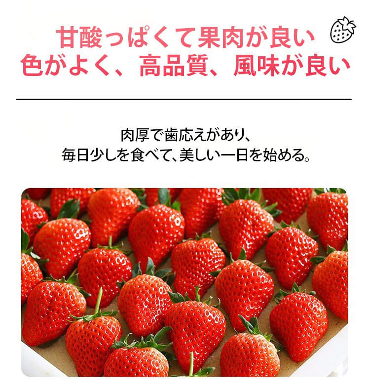 自然な甘みと酸味のドライストロベリー