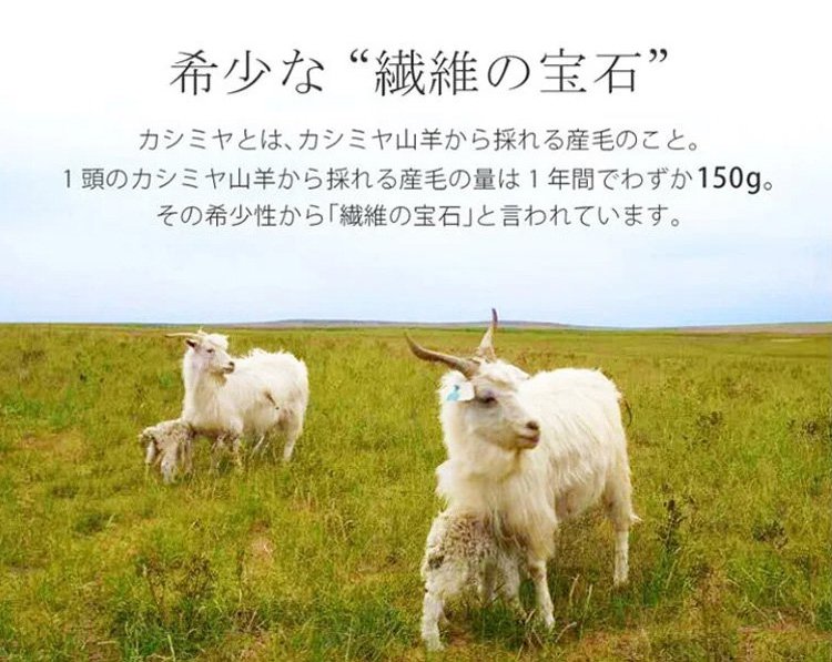 カナダ産ホワイトダックダウン使用の上質コート