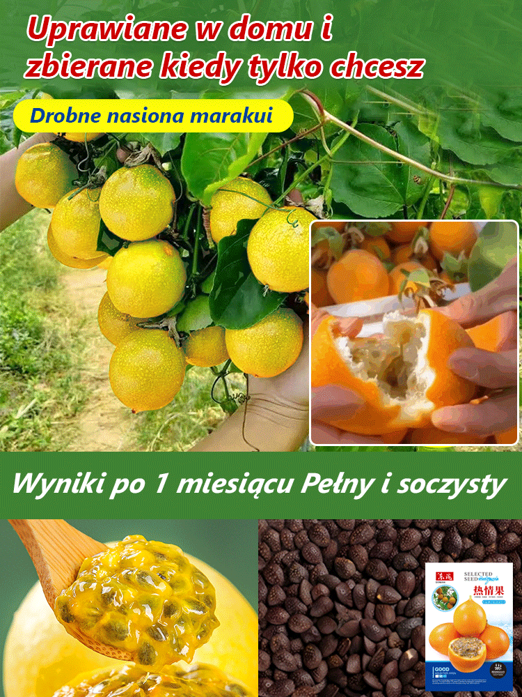 【Król witaminy C】Nasiona złotej marakui kolumbijskiej