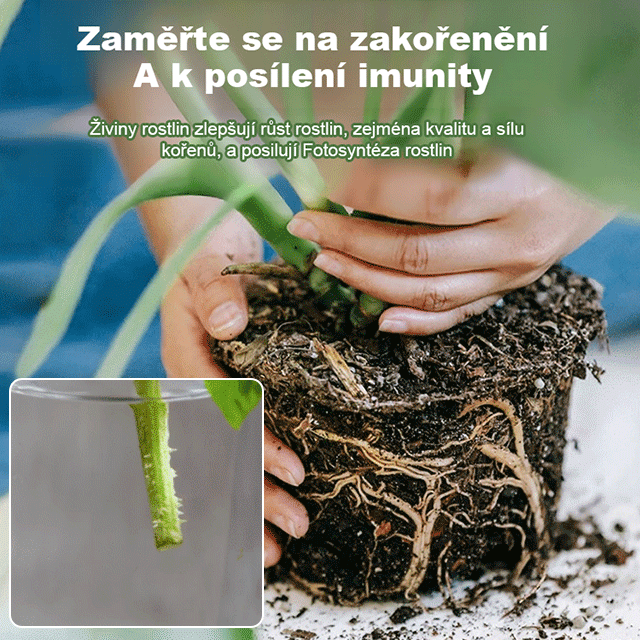 【Německá zahradnická technologie】Rychlý růst kapaliny pro vzkříšení rostlin